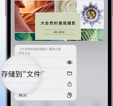 南丰apple维修中心分享iPhone文件应用中存储和找到下载文件