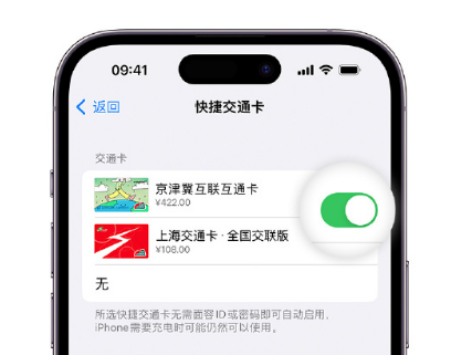 南丰apple维修点分享iPhone上更换Apple Pay快捷交通卡手绘卡面 