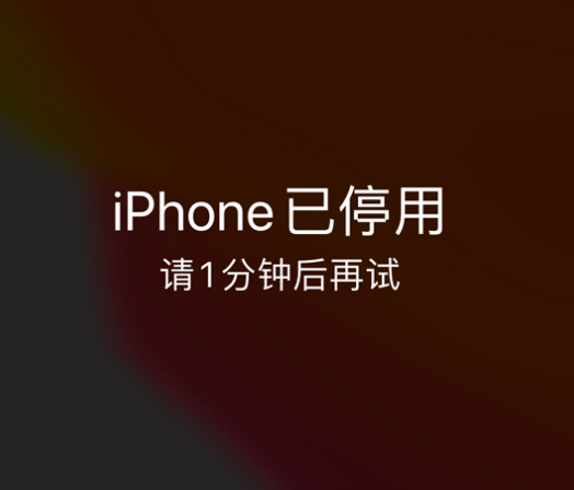 南丰苹果手机维修分享:iPhone 显示“不可用”或“已停用”怎么办？还能保留数据吗？ 