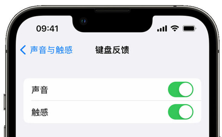 南丰苹果手机维修分享iPhone 14触感键盘使用方法 