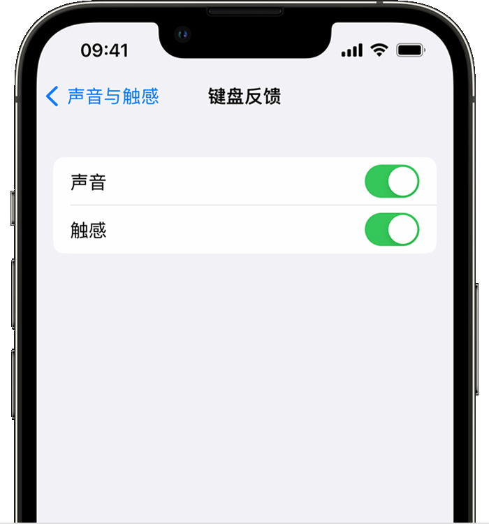 南丰苹果14维修店分享如何在 iPhone 14 机型中使用触感键盘 