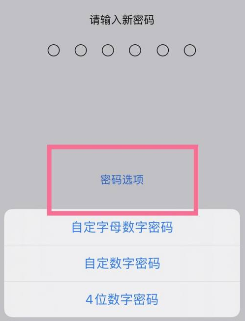 南丰苹果14维修分享iPhone 14plus设置密码的方法 