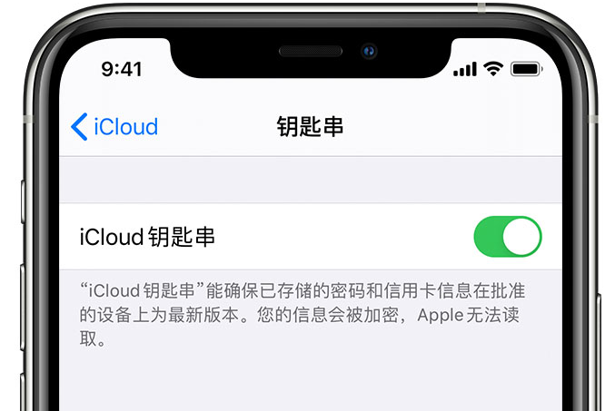 南丰苹果手机维修分享在 iPhone 上开启 iCloud 钥匙串之后会储存哪些信息 