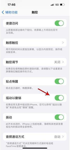 南丰苹果手机维修分享iPhone手机如何设置摇一摇删除文字 